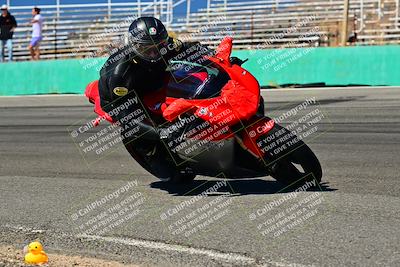 media/Oct-04-2025-Classic Track Days (Sat) [[b9f2049d9d]]/Group 2/Turn 4/105NCZ9/